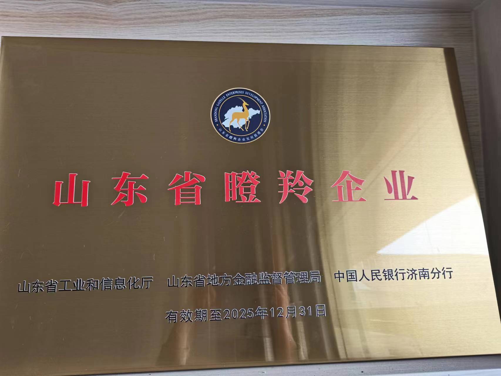 济南鑫光试验机制造有限公司 图4