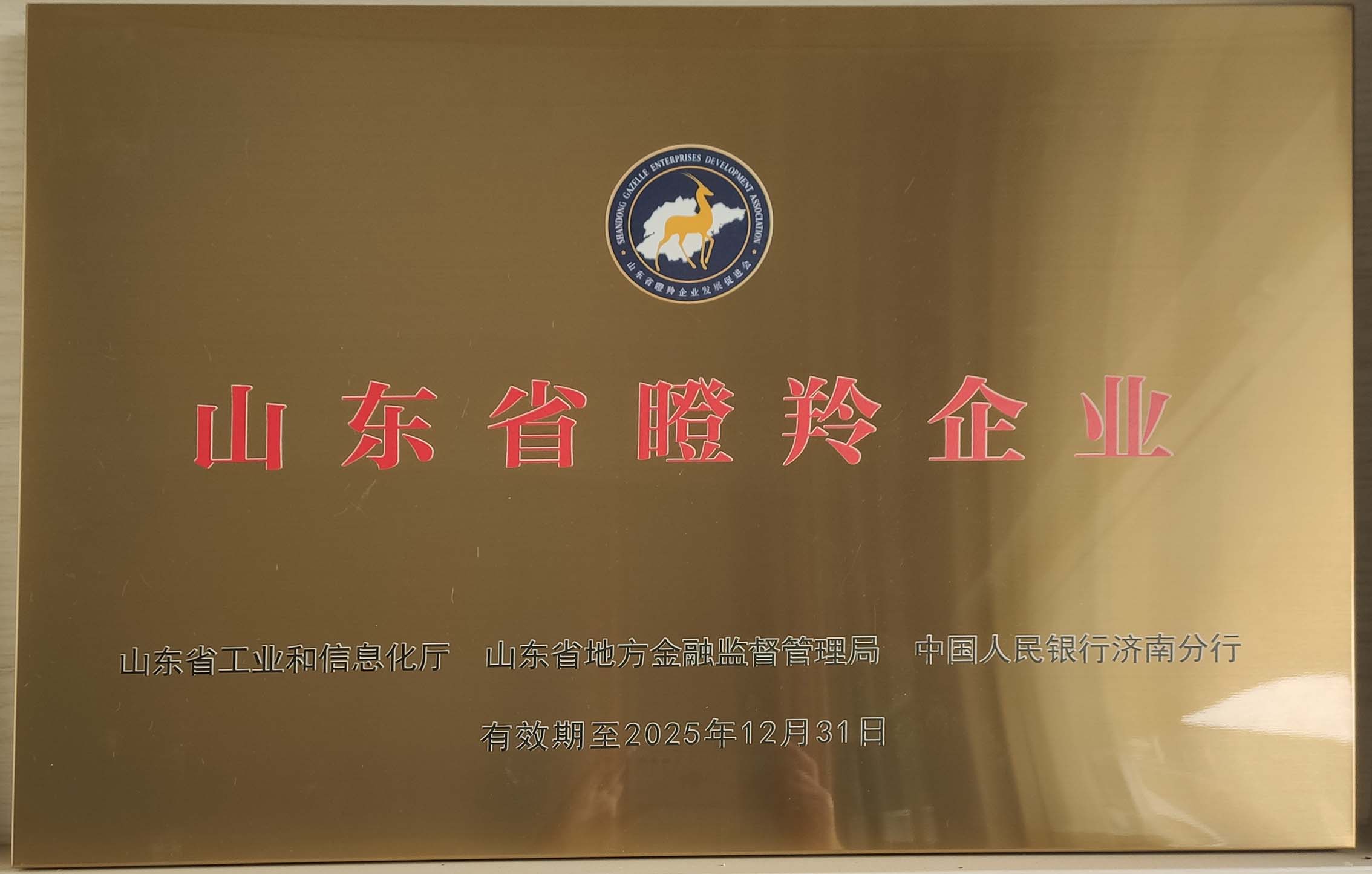 济南鑫光试验机制造有限公司 图1