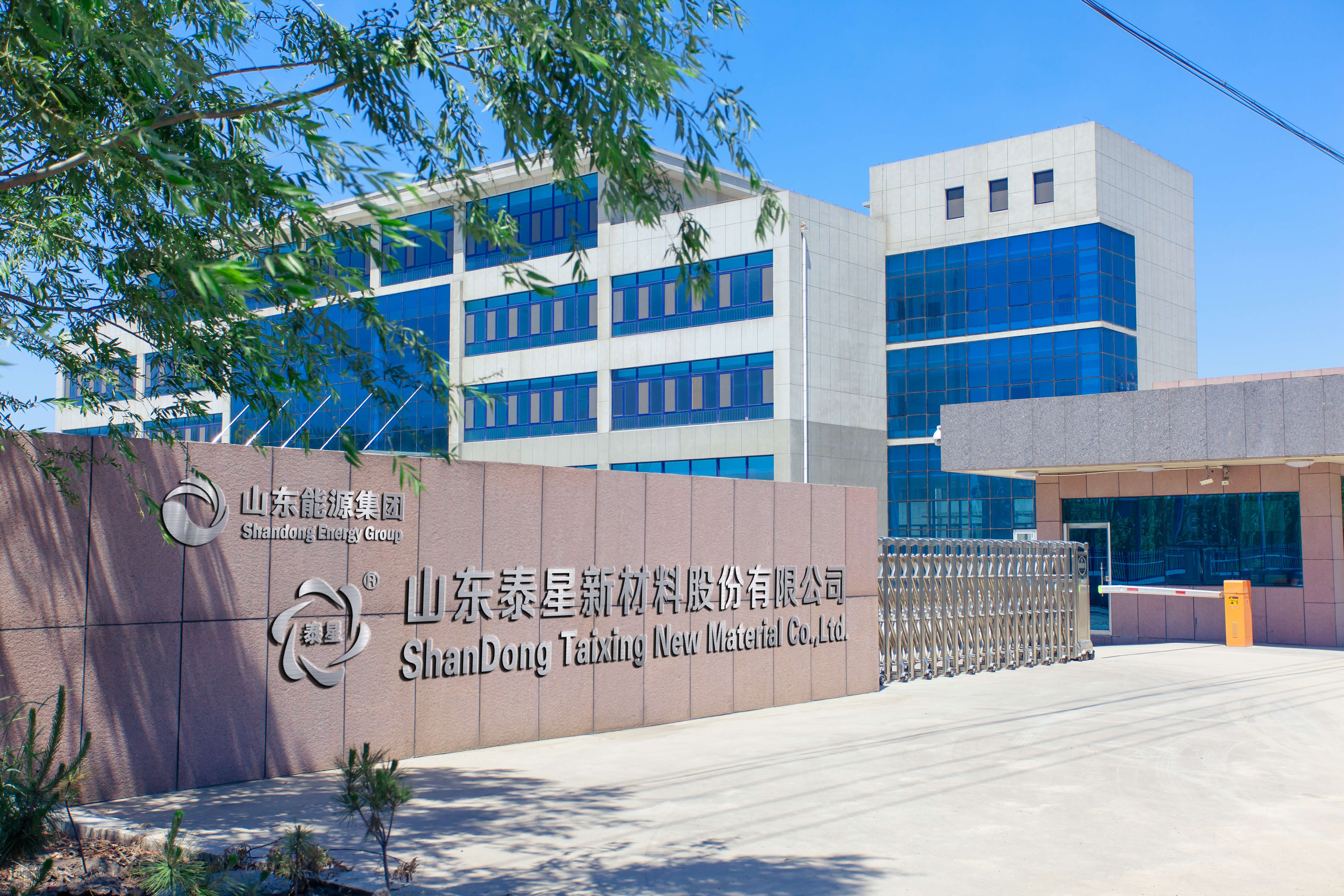 山东泰星新材料股份有限公司 Logo