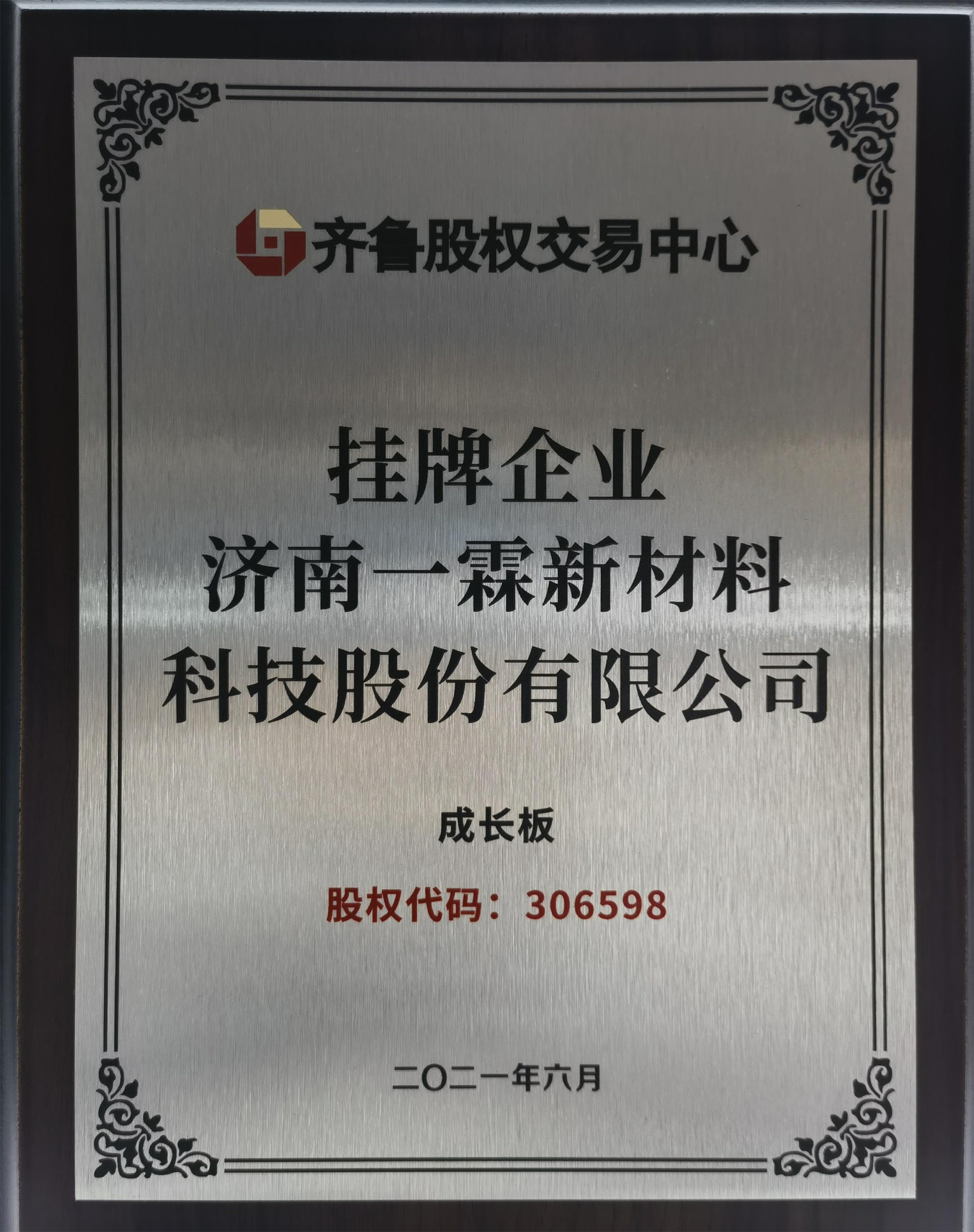 济南一霖新材料科技股份有限公司 图2