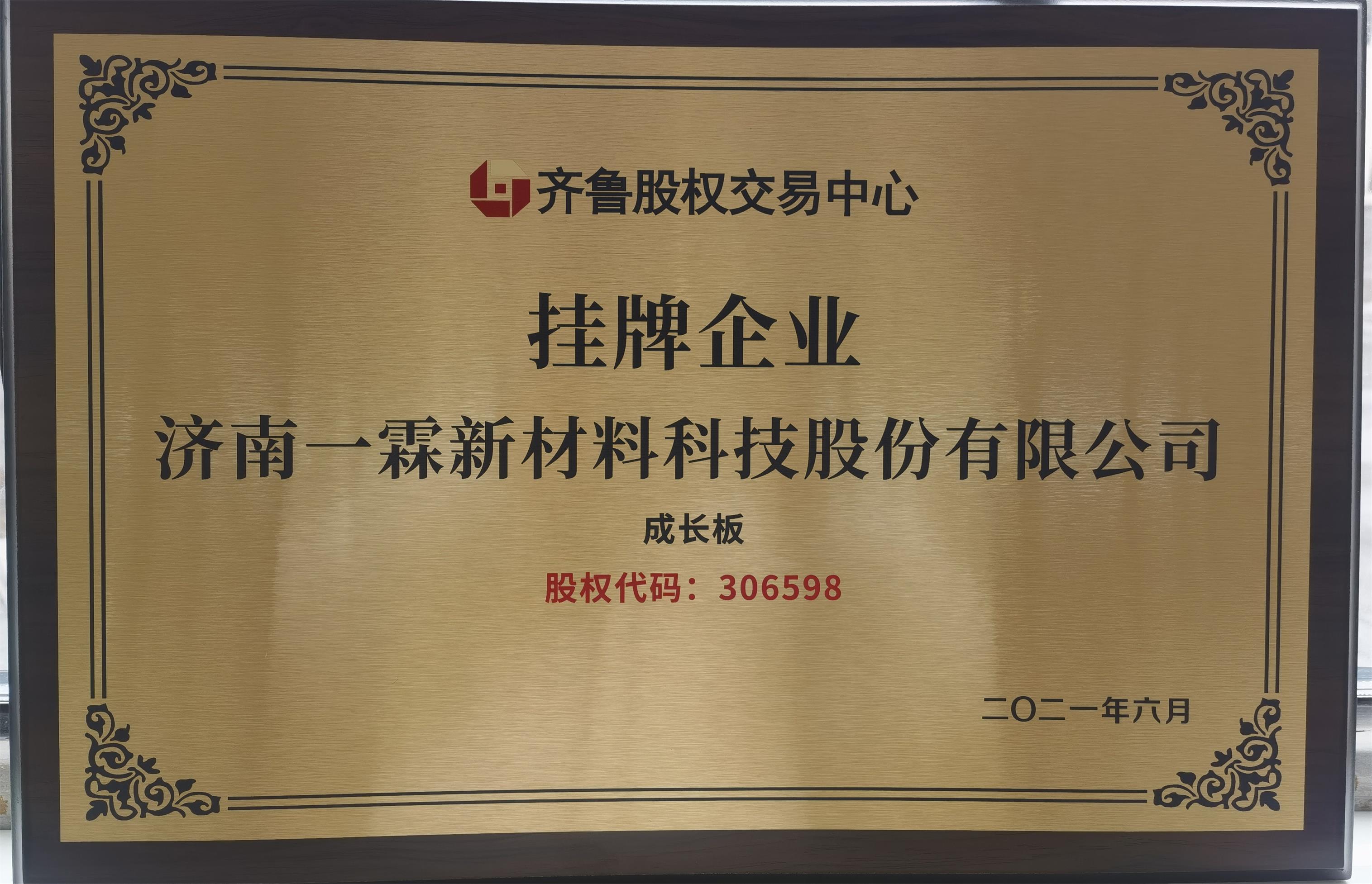 济南一霖新材料科技股份有限公司 图1