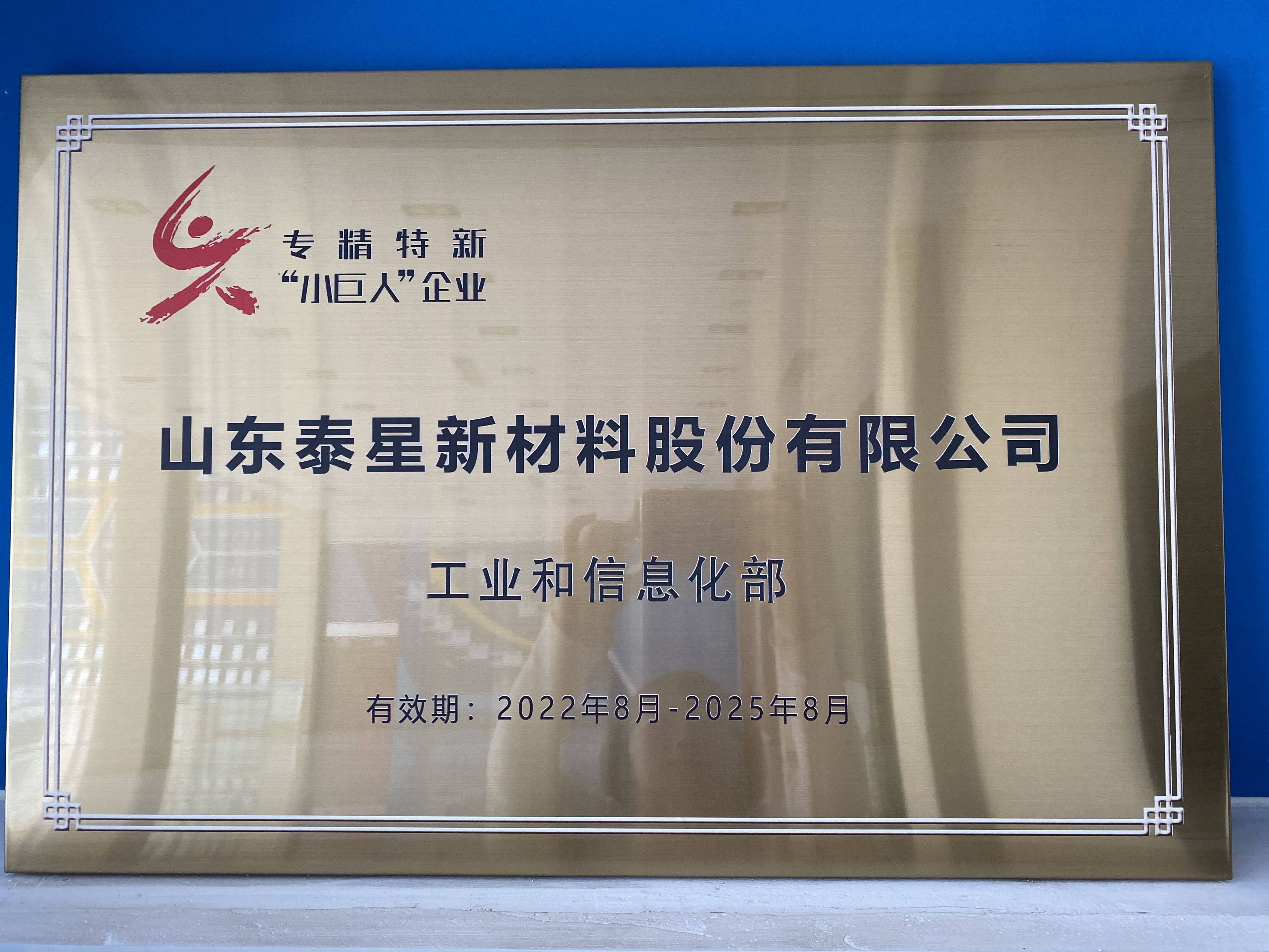 山东泰星新材料股份有限公司 图5