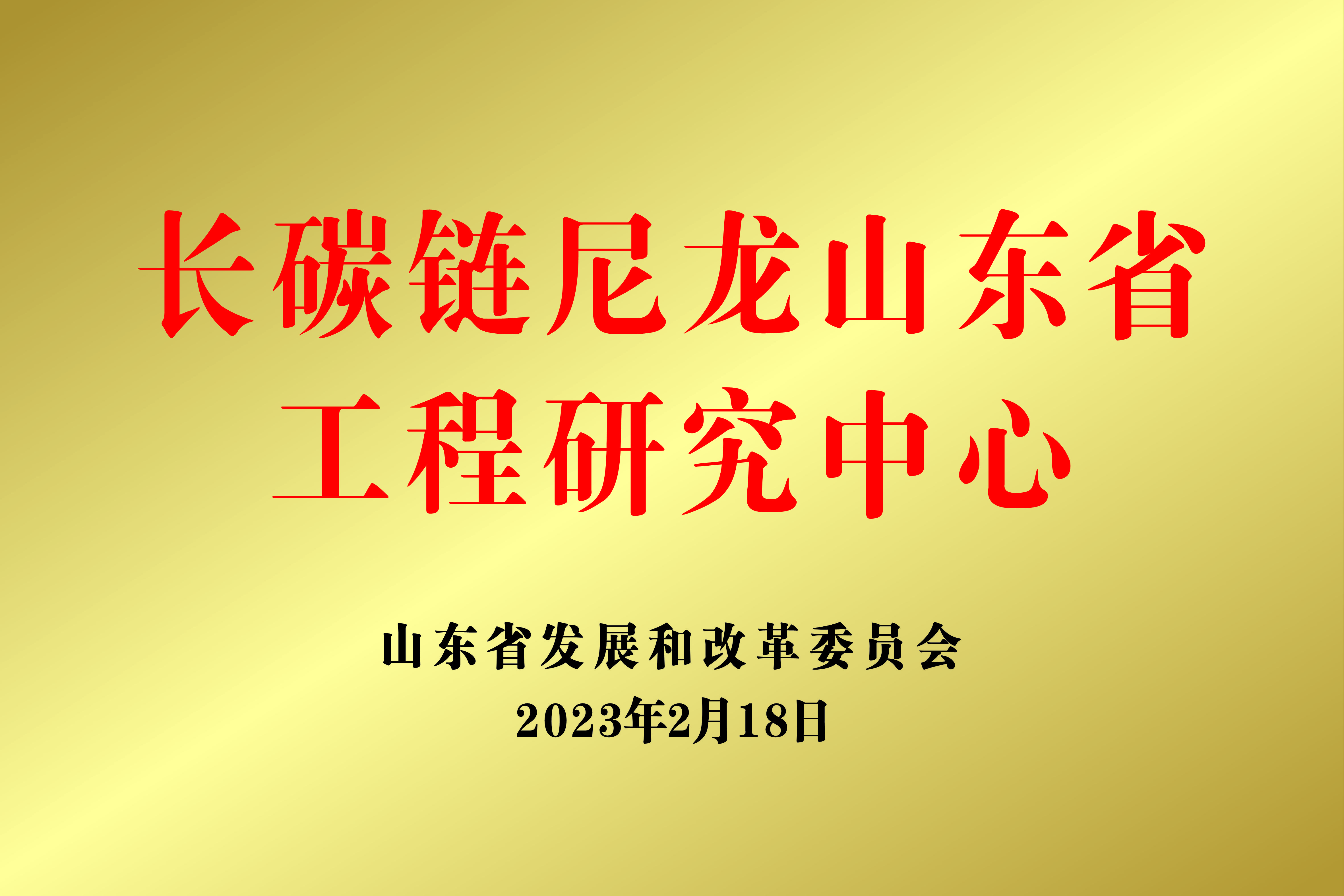 山东东辰瑞森新材料科技有限公司 图4