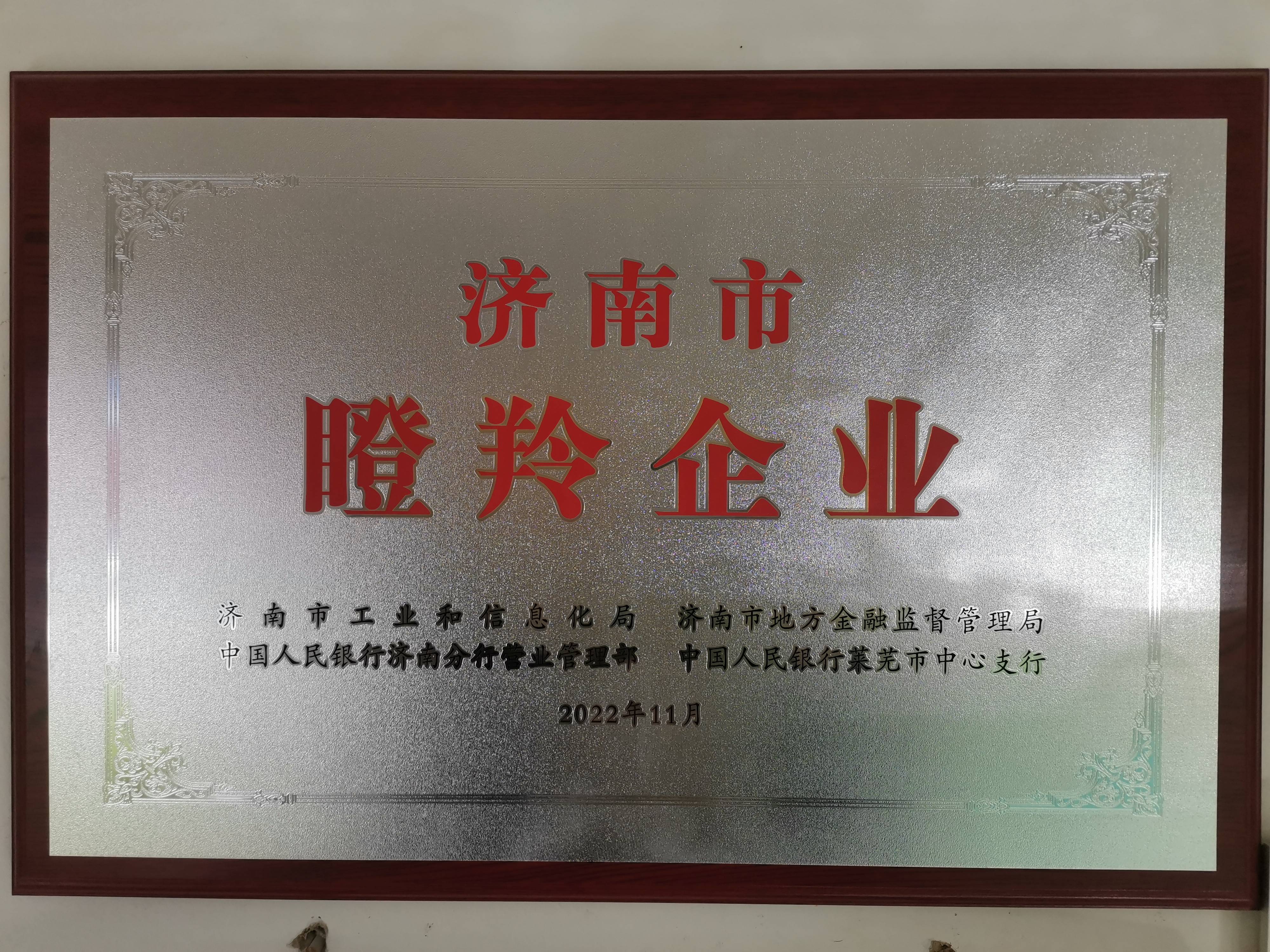 济南益佳饲料有限公司 图3