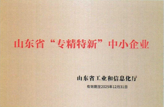 山东新升实业发展有限责任公司 图2