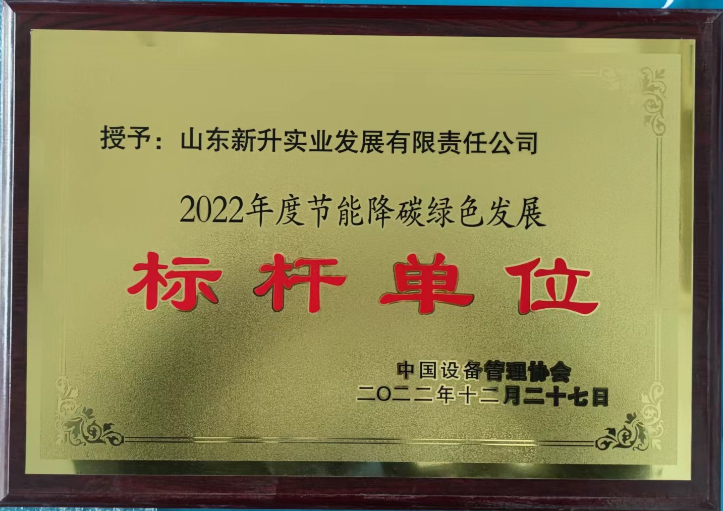 山东新升实业发展有限责任公司 图1