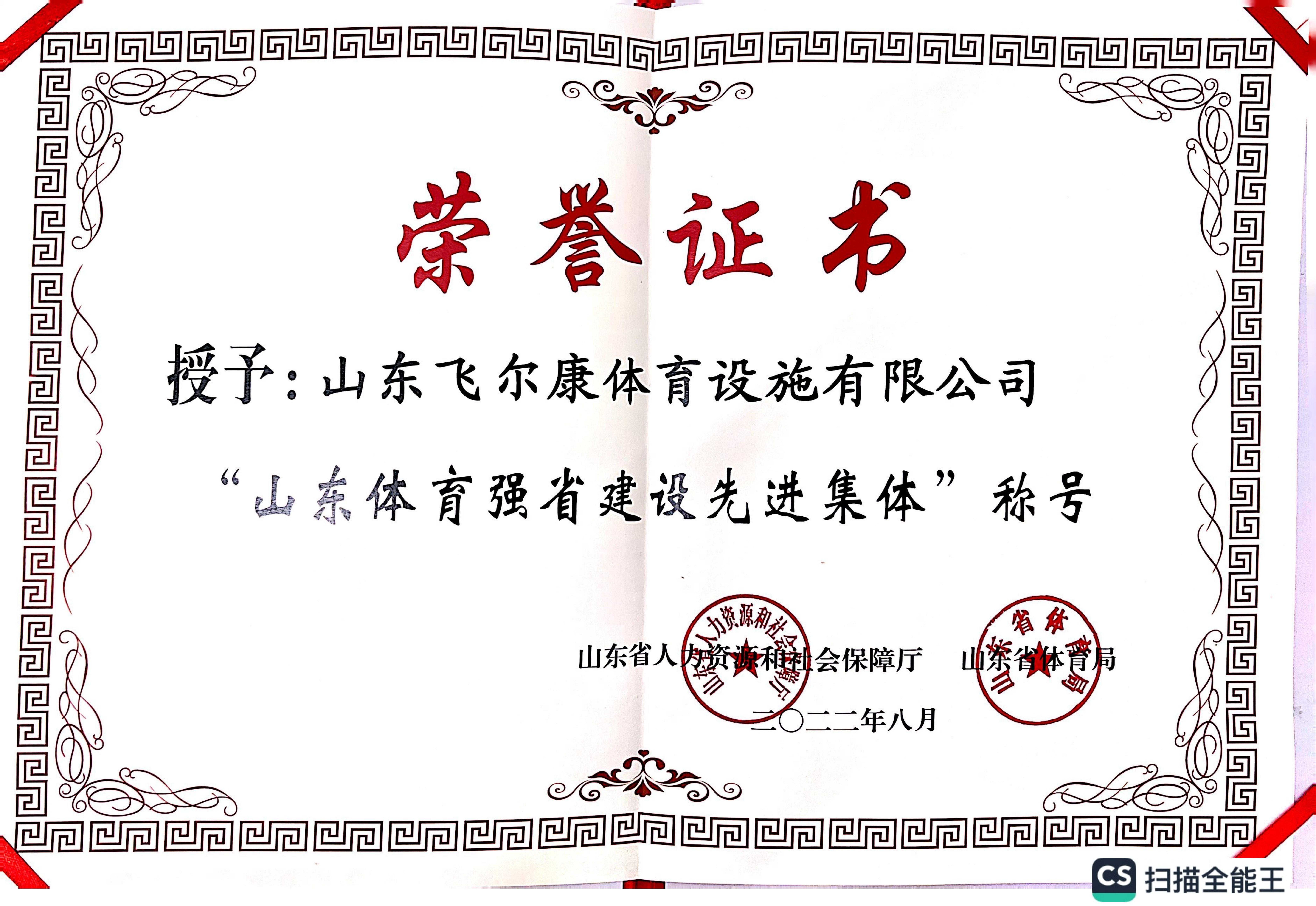 山东飞尔康体育设施有限公司 图1