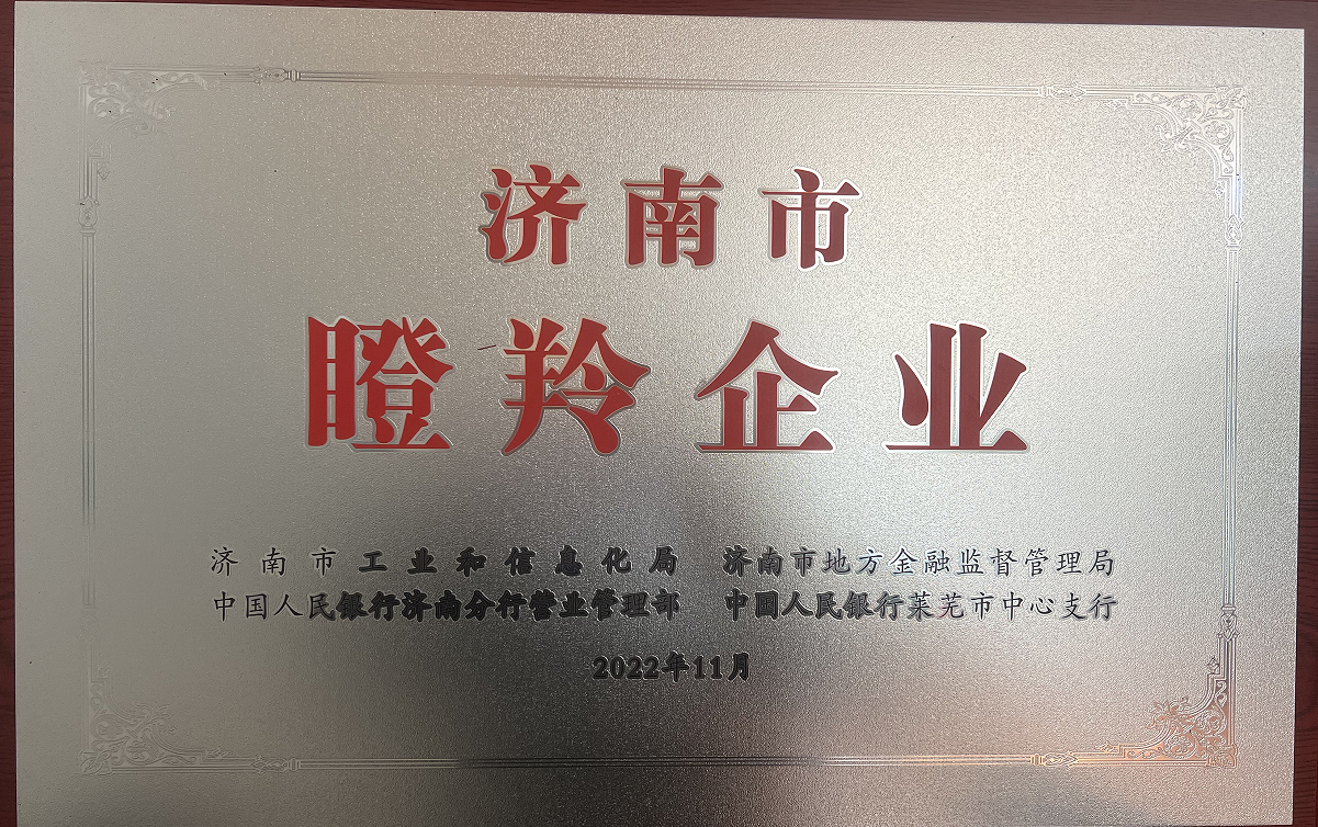 济南伟浩冶金机械有限公司 图5