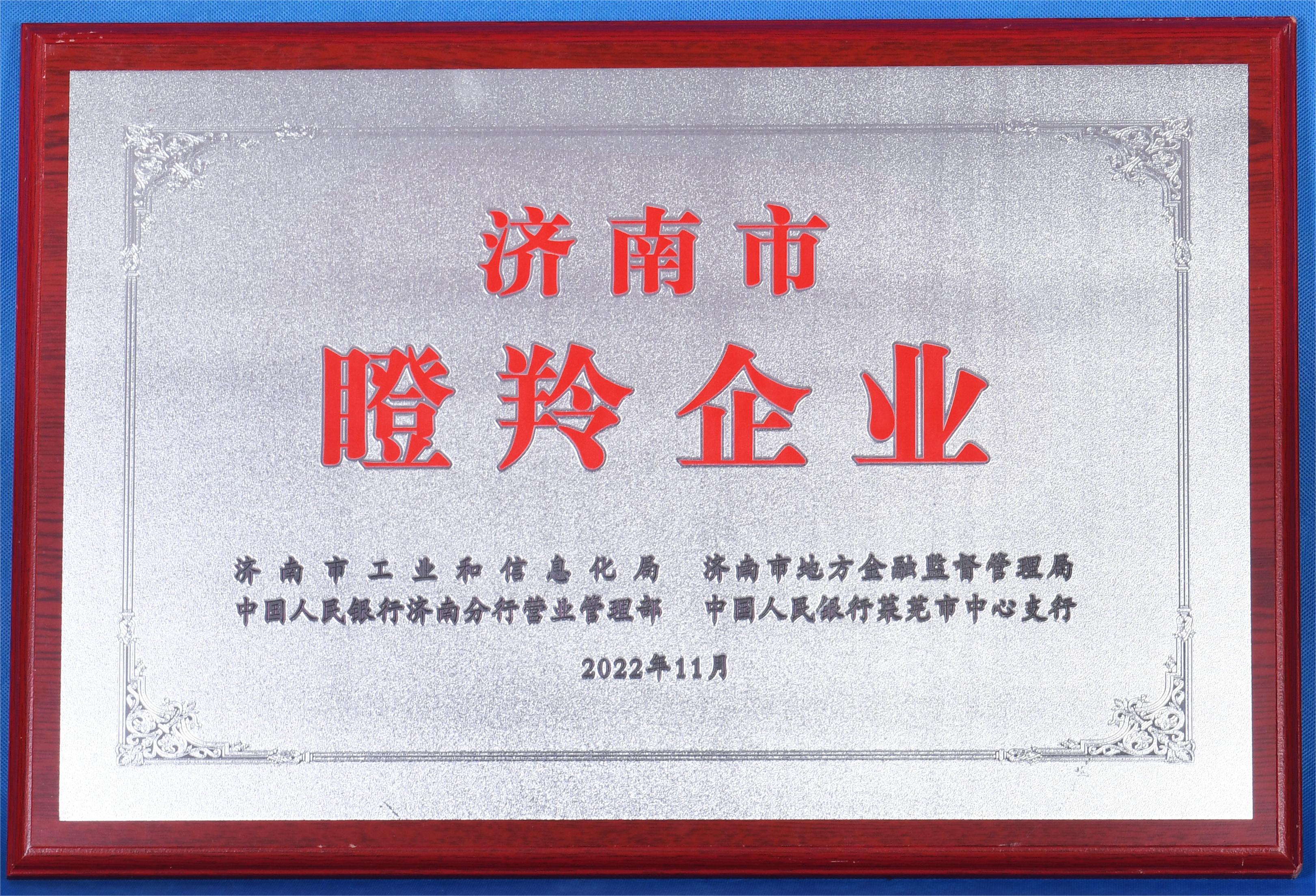 济南百脉诚成机械有限公司 图1
