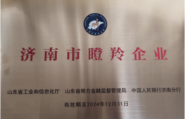 章丘市大星精工机械有限公司 图3