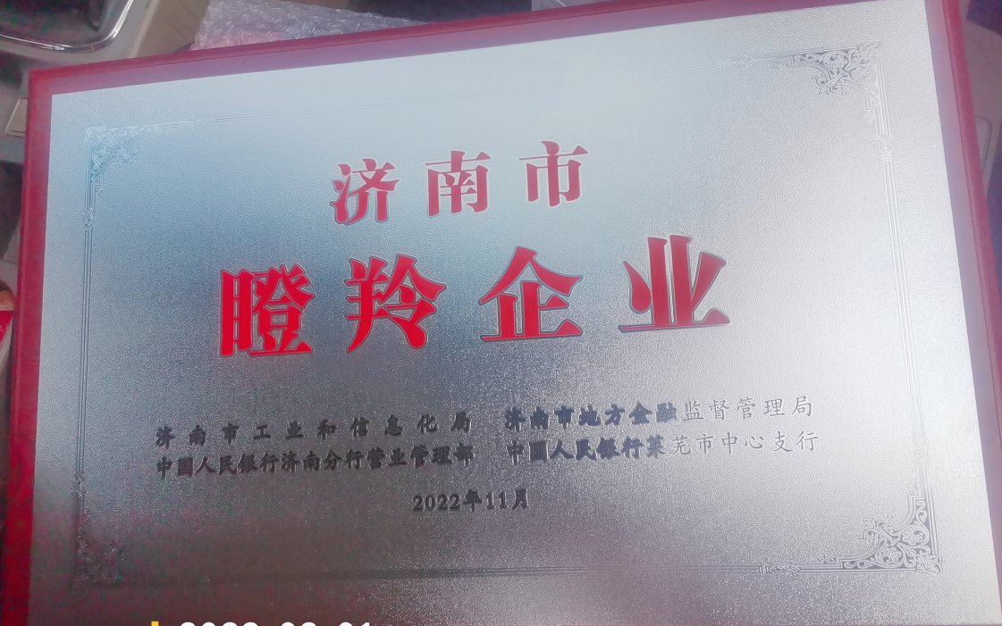 山东新升光电科技有限责任公司 图2