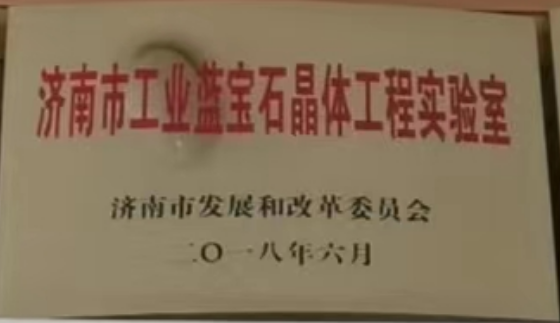山东新升光电科技有限责任公司 图4