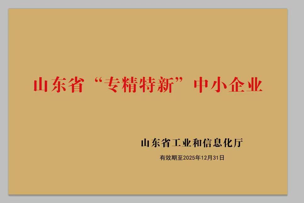 山东新升光电科技有限责任公司 图5