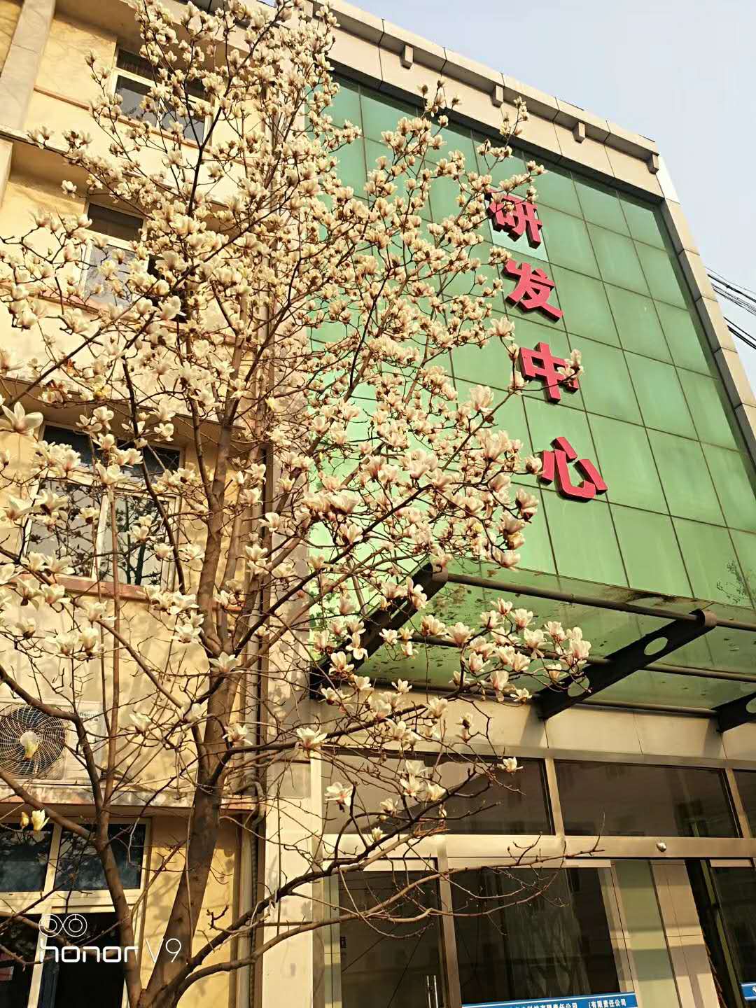 山东新升光电科技有限责任公司 图9