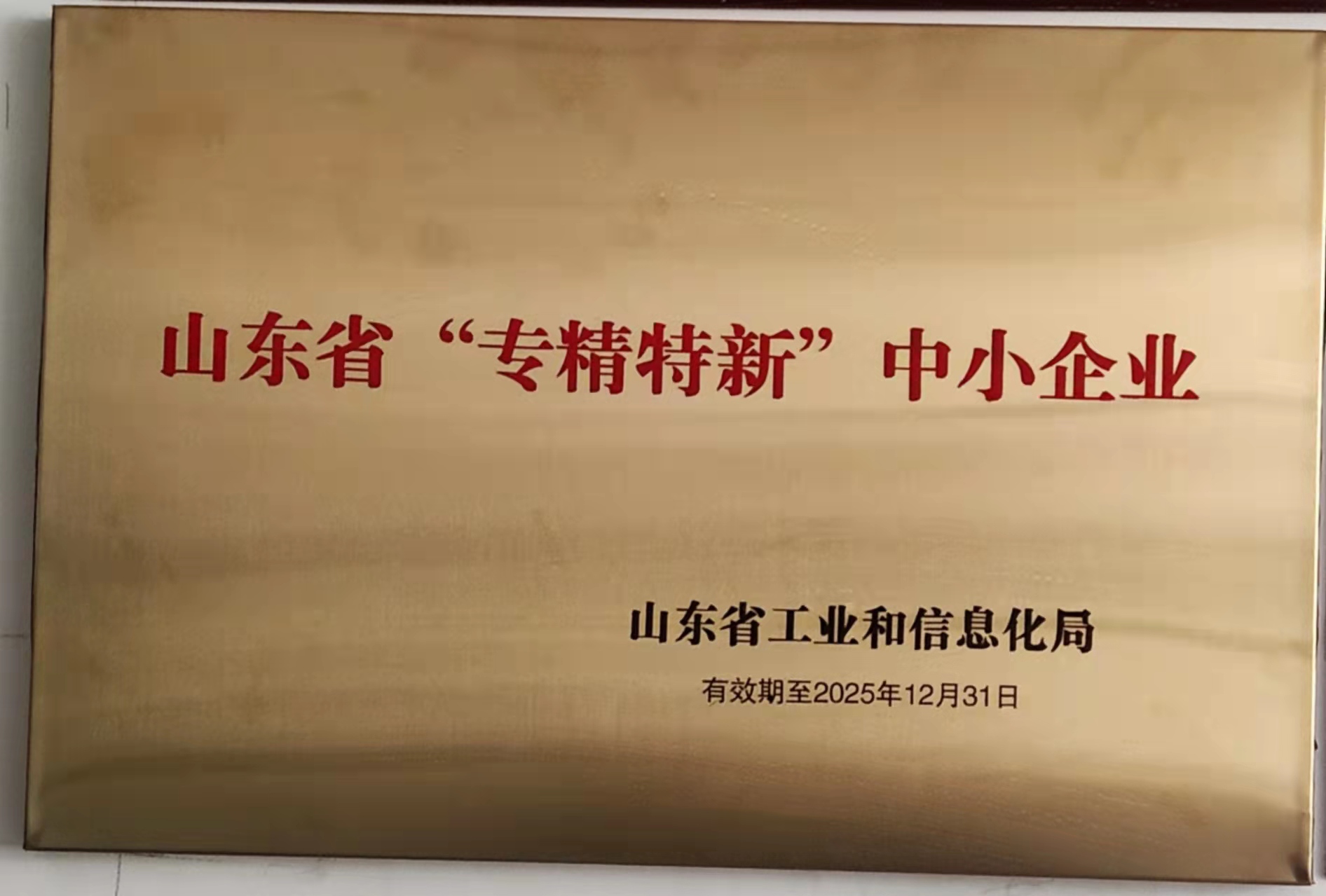 山东新金发汽车零部件有限公司 图3