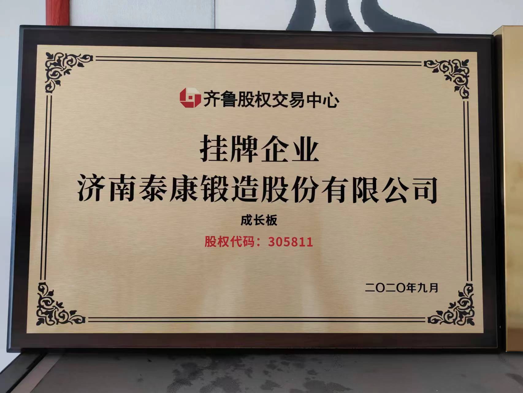 济南泰康锻造股份有限公司 图1