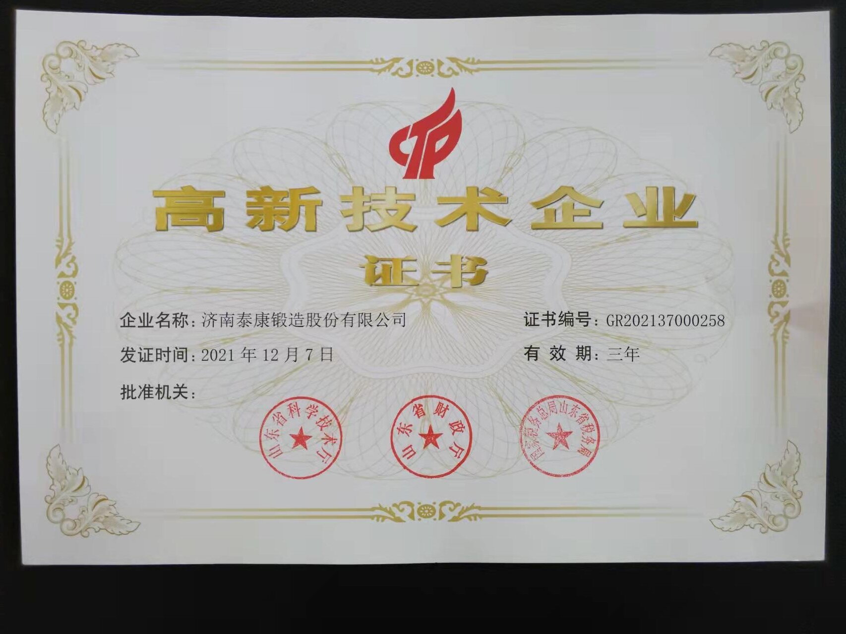 济南泰康锻造股份有限公司 图3