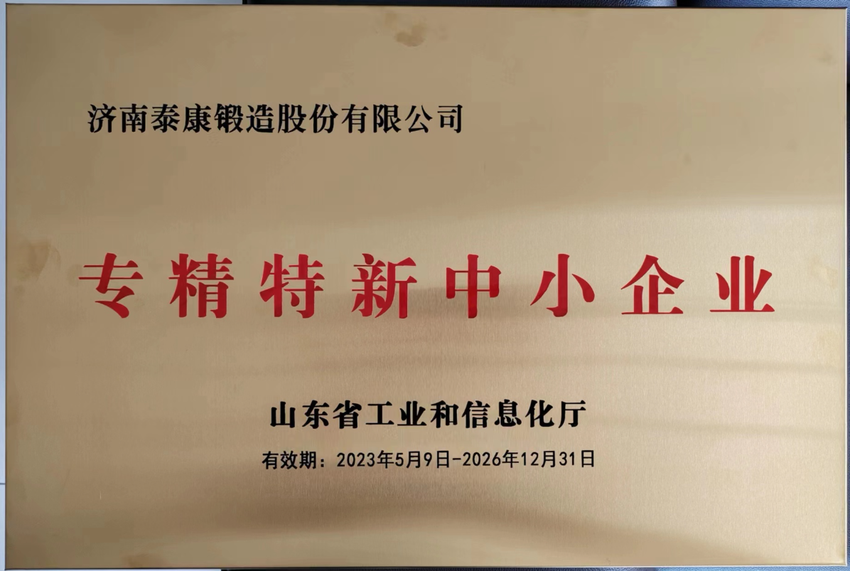 济南泰康锻造股份有限公司 图2