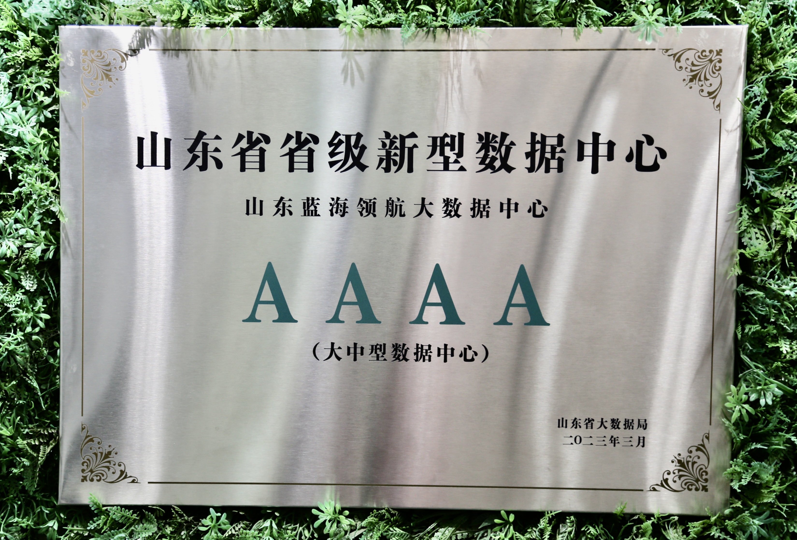 山东蓝海领航大数据发展有限公司 图1