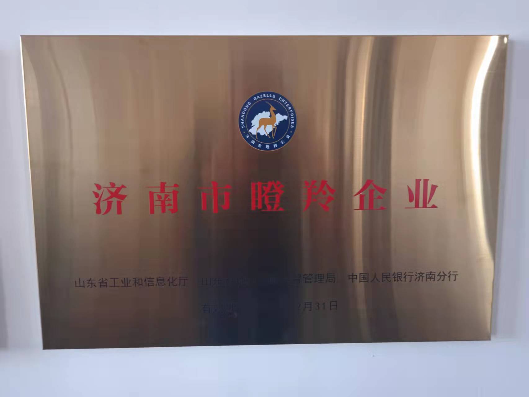 山东利鑫新材料集团有限公司 图4