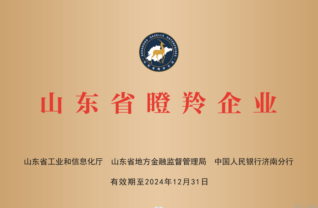 山东华民钢球股份有限公司 图2