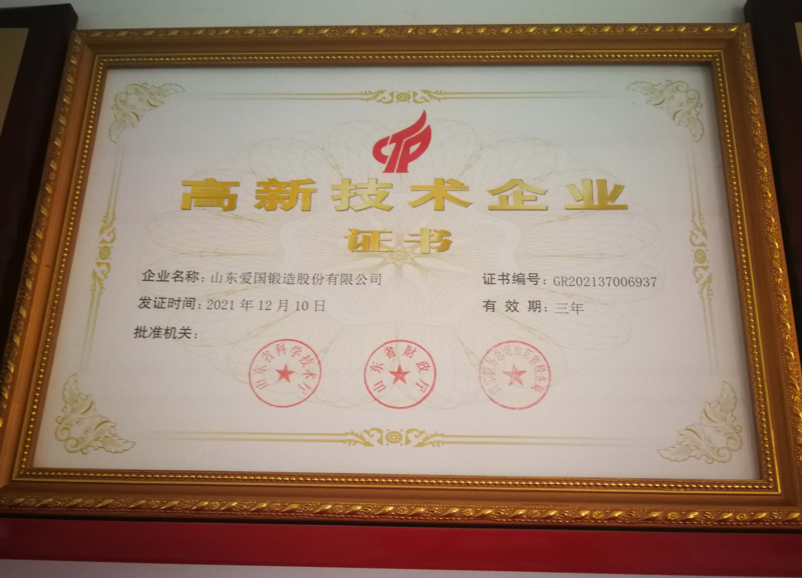 山东爱国锻造股份有限公司 图5