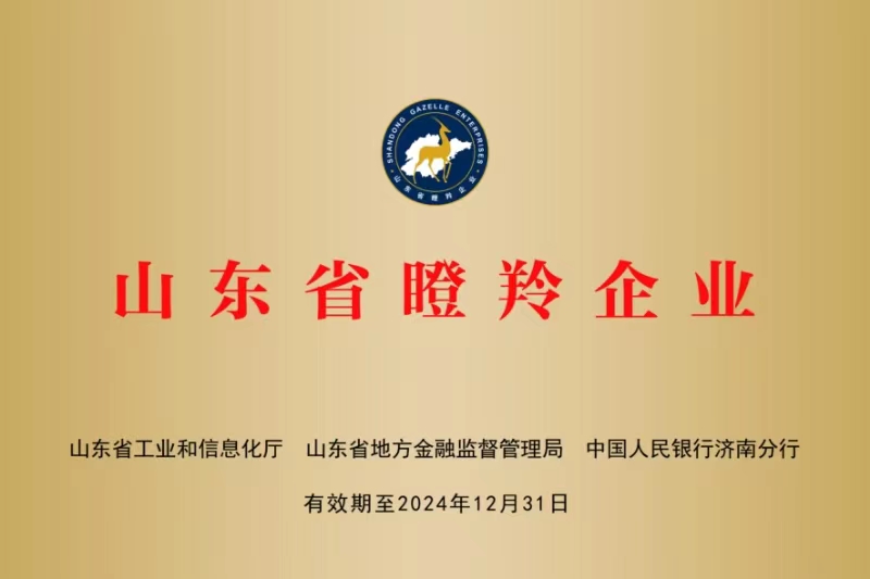 山东明化新材料有限公司 图3