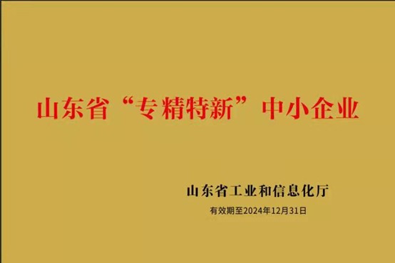 山东永信非织造新材料股份有限公司 图3