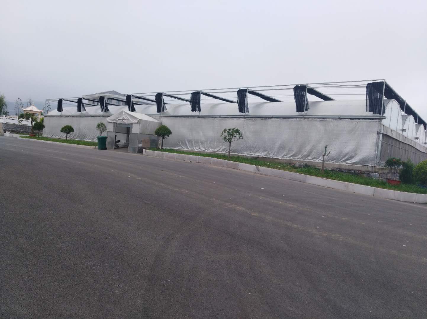济南盛苑花卉工程有限公司 图3