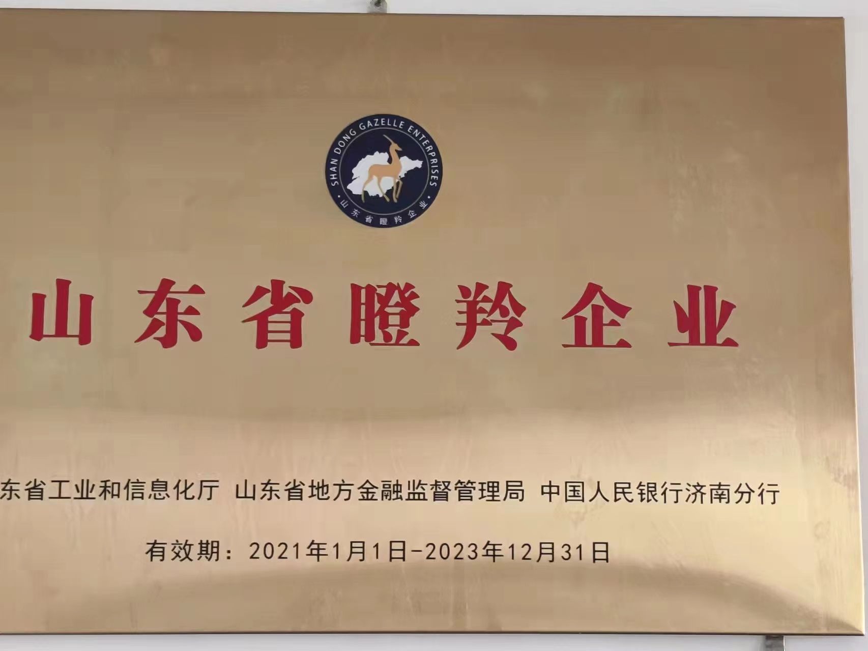 山东玻科数控设备有限公司 图4