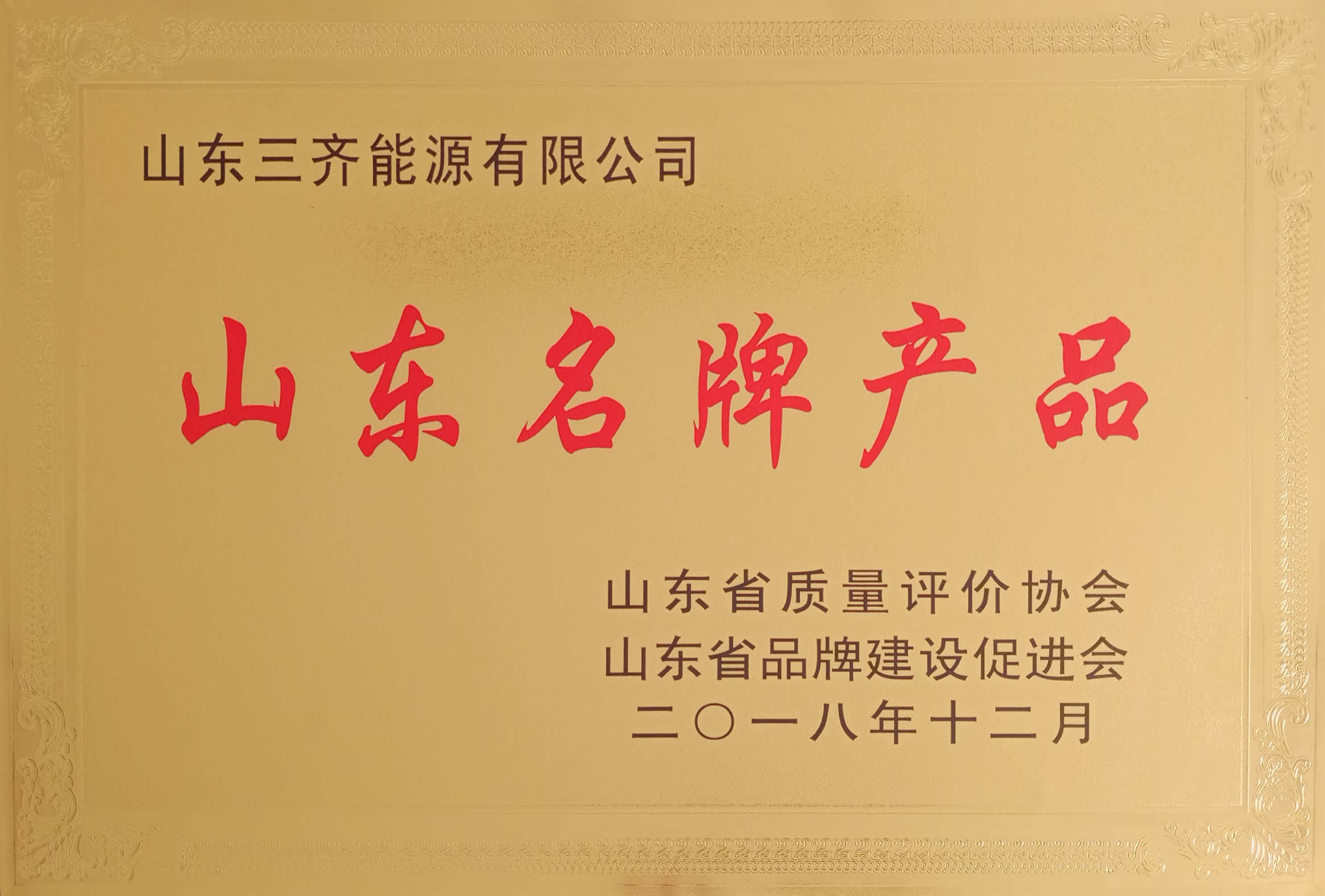 山东三齐能源有限公司 图5