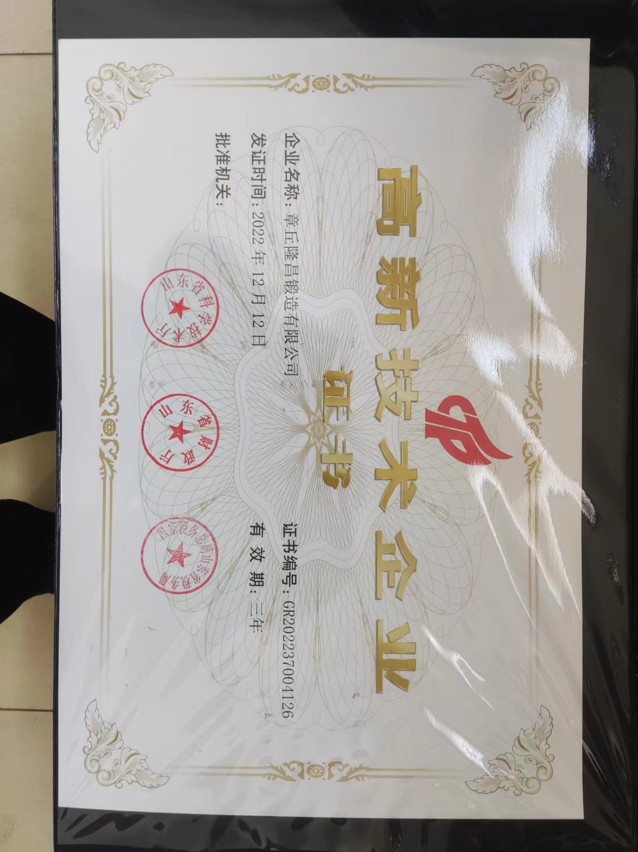 章丘隆昌锻造有限公司 图2