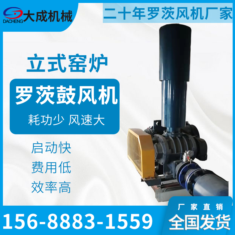 罗茨鼓风机 图3